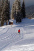 cross-country