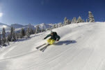 skier